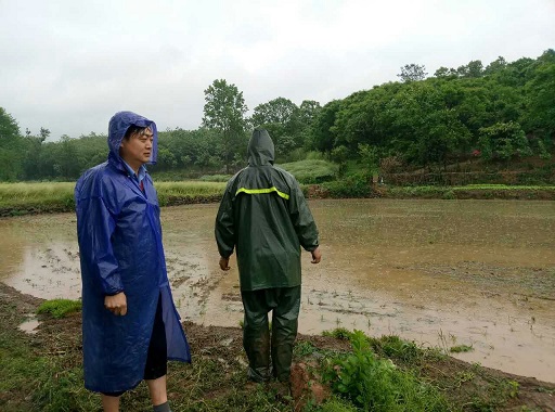 mmexport1493943224164 - .jpg